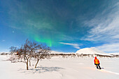 Rückansicht eines Wanderers mit Laterne, der in der arktischen und eisigen, schneebedeckten Landschaft steht und die Nordlichter (Aurora Borealis) bewundert, Vollmondnacht, Kilpisjarvi, Gemeinde Enontekio, Finnisch-Lappland, Finnland, Skandinavien, Europa