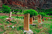 Geschnitzte Grabsteine im Friedhof, Noravank-Kloster, Vayots Dzor, Armenien (Hayastan), Kaukasus, Zentralasien, Asien