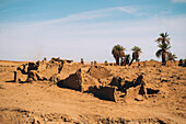 Ruinen des antiken Dorfes Germa, Hauptstadt des Garamantenreichs, in der Region Fezzan, Libyen, Nordafrika, Afrika