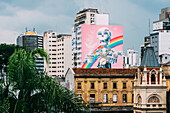 Blick auf ein großes Wandgemälde in Sao Paulo, Brasilien, Südamerika