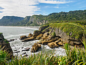 On the west coast of the South Island, New Zealand, Pacific