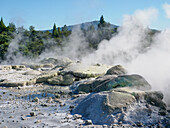 Schwefelhaltige Schlote im geothermischen Gebiet von Te Puia, Gisborne District, Nordinsel, Neuseeland, Pazifik