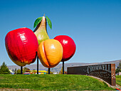 Giant fruit in Cromwell, a small town in the middle of a region of orchards and vineyards, Cromwell, Otago, South Island, New Zealand, Pacific