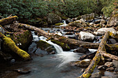 Roaring Creek waterfalls, Appalachian Trail, Blue Ridge Mountains, North Carolina, United States of America, North America