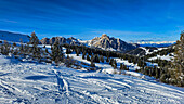 Snowy winter landscape with trees and peaks, Dolomites, Italy, Europe