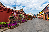 Bunte Bäume in der Altstadt von Zhangzhou, Fujian, China, Asien