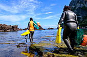 Haenyeo women, famous for diving into their eighties and holding their breath for up to two minutes, diving for conch, octopus, seaweed, and other seafood, Jeju, South Korea, Asia