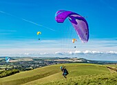 Paraglider taking off at Mount Caburn, near Lewes, East Sussex, England, United Kingdom, Europe