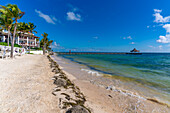 View of palm trees and hotel on beach at Puerto Morelos, Caribbean Coast, Yucatan Peninsula, Riviera Maya, Mexico, North America