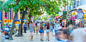 Blick auf die belebte 5th Avenue, Playa del Carmen, Quintana Roo, Karibikküste, Yucatan-Halbinsel, Riviera Maya, Mexiko, Nordamerika