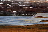 Landschaftsausschnitt, Assynt, Highland, Schottland, Vereinigtes Königreich, Europa