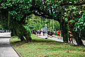 People stroll along the pedestrian path alongside Lagoa Rodrigo de Freitas, Rio de Janeiro, Brazil, South America