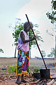 Eine Frau, Aborigine-Älteste, rührt Pandanus für das Flechten von Körben, Nyinyikay Homeland, East Arnhem Land, Northern Territory, Australien, Pazifik