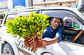 Mann verkauft Khat (Qat), eine lokale Droge, Hargeisa, Somaliland, Somalia, Afrika