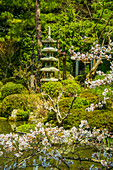 Okazaki Park in the Heian Jingu Shrine, Kyoto, Honshu, Japan, Asia