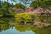 Okazaki Park in the Heian Jingu Shrine, Kyoto, Honshu, Japan, Asia