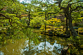 Garden, Ginkaku-ji Zen Temple (Jisho-ji) (Temple of the Silver Pavilion), UNESCO World Heritage Site, Kyoto, Honshu, Japan, Asia