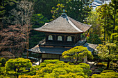 Ginkaku-ji Zen Temple (Jisho-ji) (Temple of the Silver Pavilion), UNESCO World Heritage Site, Kyoto, Honshu, Japan, Asia