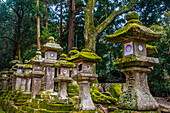 Lots of stone lanterns in Nara Park, UNESCO World Heritage Site, Nara, Kansai, Honshu, Japan, Asia