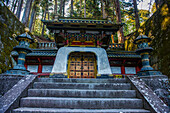 Entrance to the Iemitsu Mausoleum (Taiyuinbyo), UNESCO World Heritage Site, Nikko, Tochigi Prefecture, Kanto, Honshu, Japan, Asia