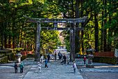 Entrance gate to the Toshogu Shrine, UNESCO World Heritage Site, Nikko, Tochigi Prefecture, Kanto, Honshu, Japan, Asia