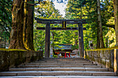 Entrance gate to the Toshogu Shrine, UNESCO World Heritage Site, Nikko, Tochigi Prefecture, Kanto, Honshu, Japan, Asia