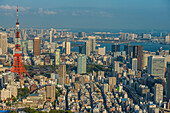 Blick über Tokio mit dem Tokyo Tower, vom Mori Tower, Roppongi Hills, Toykyo, Honshu, Japan, Asien