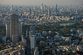 View over Tokyo from the Roppongi Hills, Tokyo, Honshu, Japan, Asia