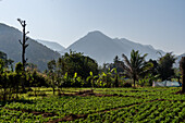 Berglandschaft in der Provinz Mae Hong Son, Thailand, Südostasien, Asien