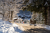 Winter in Ponte di Legno, Vallecamonica, Provinz Brescia, Region Lombardei, Italien, Europa