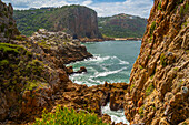 View of the Featherbed coastal walk and coastline in Featherbed Nature Reserve, Knysna, Garden Route, Western Cape, South Africa, Africa