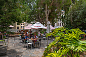 View of restaurant and cafe in Company's Garden, Cape Town, Western Cape, South Africa, Africa