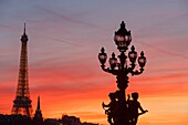 France, Paris, area listed as World Heritage by UNESCO, the putti supporting a streetlight by Henri Gauquie on Pont Alexandre III (Alexandre the Third bridge) and the Eiffel tower in the background