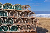 Canada, Province of New Brunswick, Chaleur Region, Chaleur Bay, Great Anse and Bathurst Coast, Lobster Traps