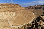 Israel, Region Judäa und Samaria, Judäische Wüste, Kfar Hanokdim, Gebiet des Massada-Nationalparks im Naturschutzgebiet Ein Gedi