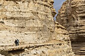 Israel, Südlicher Bezirk, Negev-Wüste, Ein Avdat Canyon