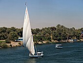 Ägypten, Oberägypten, Niltal, Feluke auf dem Nil bei Edfu von einem auf dem Nil fahrenden Kreuzfahrtschiff aus gesehen