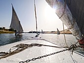 Ägypten, Oberägypten, Nubien, Niltal, Assuan, Felukenfahrt vor der Insel Elephantine