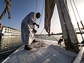 Egypt, Upper Egypt, Nubia, Nile Valley, Aswan, On board a felucca, the captain folds his sail before docking