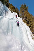 Canada, Quebec province, Mauricie region, Shawinigan and surrounding area, La Mauricie National Park, ice climbing site on frozen rock face