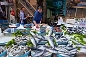 Italy, Campania, Naples, historical centre listed as World Heritage by UNESCO, mercato della Pignasecca, fish market