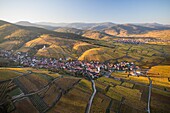 Frankreich, Haut Rhin, Elsässische Weinstraße, Katzenthal, Kirche Saint Nicolas, Burg Wineck, Weinberg (Luftaufnahme)