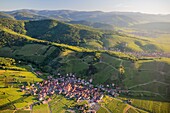 Frankreich, Haut Rhin, Elsässische Weinstraße, Katzenthal, Kirche Saint Nicolas, Burg Wineck, Weinberg (Luftaufnahme)