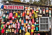 United States, Maine, Mt. Desert Island, Eden, traditional lobster shack seafood restaurant, autumn