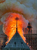 Frankreich, Paris, Welterbe der UNESCO, Kathedrale Notre Dame aus dem 14. Jahrhundert während des Brandes am 15. April 2019, Nahaufnahme der Flammen um das Kreuz