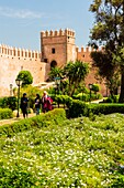 Marokko, Rabat, von der UNESCO zum Weltkulturerbe erklärt, Udayas kasbah (kasbah des Oudaïas), der andalusische Garten