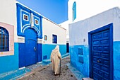 Morocco, Rabat, listed as World Heritage by UNESCO, Udayas kasbah (kasbah des Oudaïas)