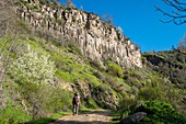 Armenien, Region Kotayk, Garni, Basaltsäulenformationen entlang des Azat-Flusstals, genannt Symphonie der Steine