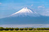 Armenien, Region Ararat, Berg Ararat im äußersten Osten der Türkei