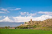 Armenien, Region Ararat, Kloster Khor Virap und Berg Ararat